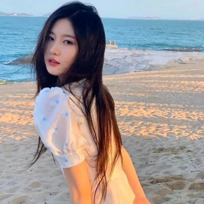 革命两福星 海报