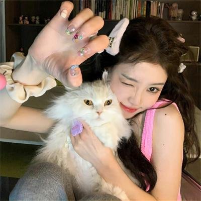 疯狂肚皮舞娘 海报